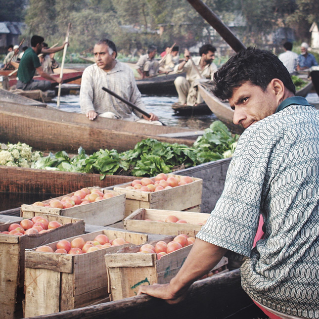 Dal Lake series - finito