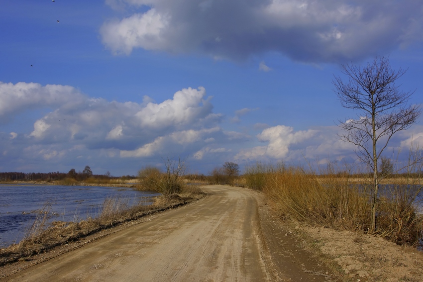 Nad Biebrzą