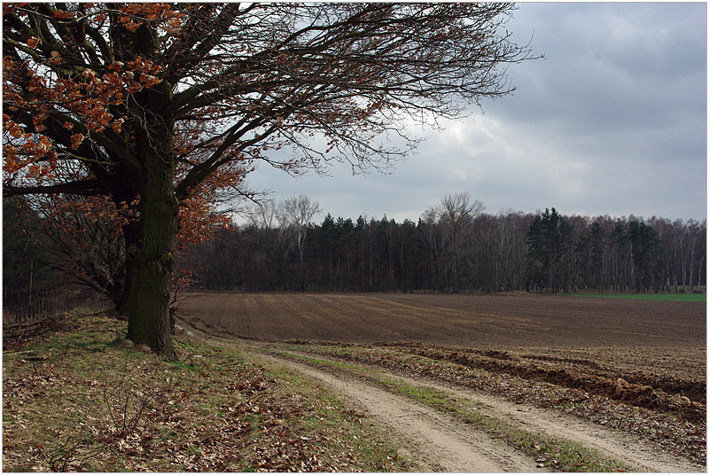 Wyciążkowo: wersja jesień