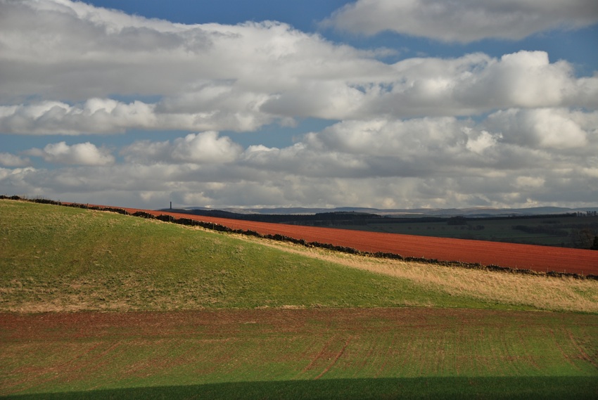 Scottish Fields 2