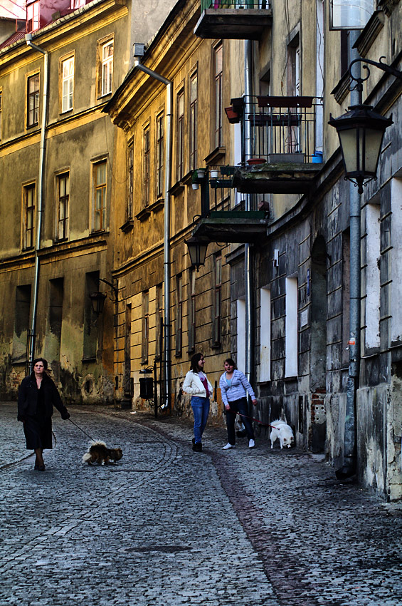 Lublin - ulica Rybna