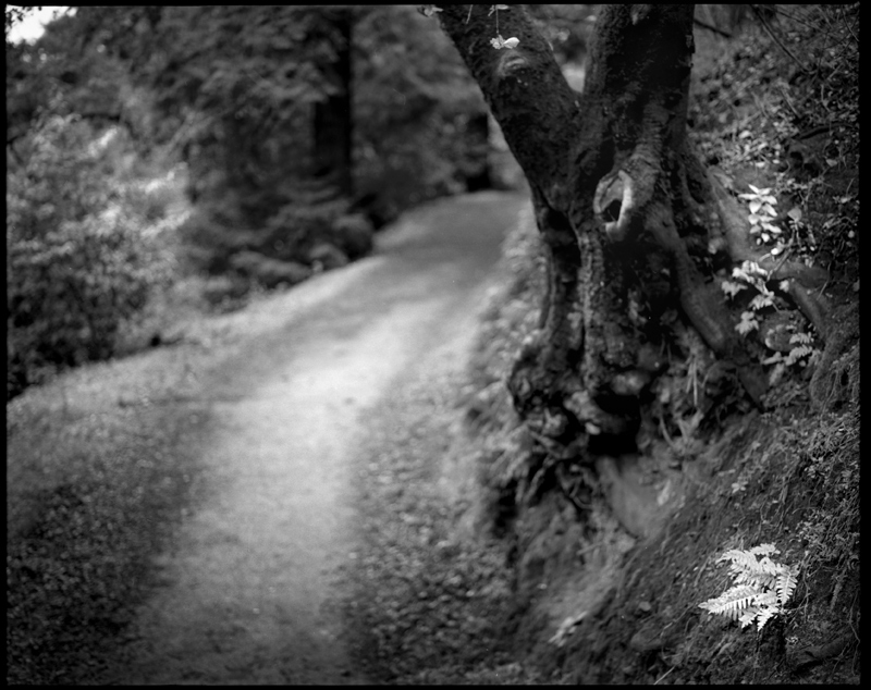 Berkeley, Kalifornia 2010