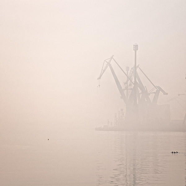 Gdynia , Harbor