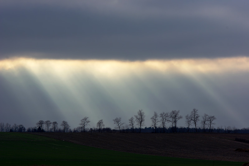 Ostatni marsz Entów