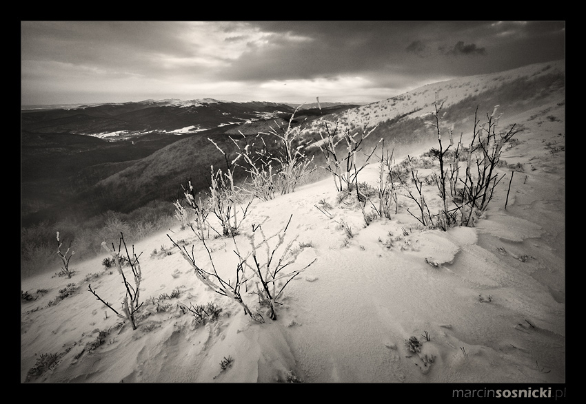 Niespokojne Bieszczady...