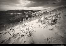 Niespokojne Bieszczady...