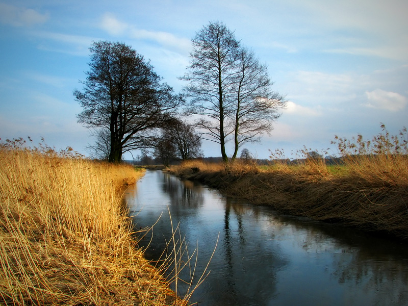 Rzeka Wolbórka