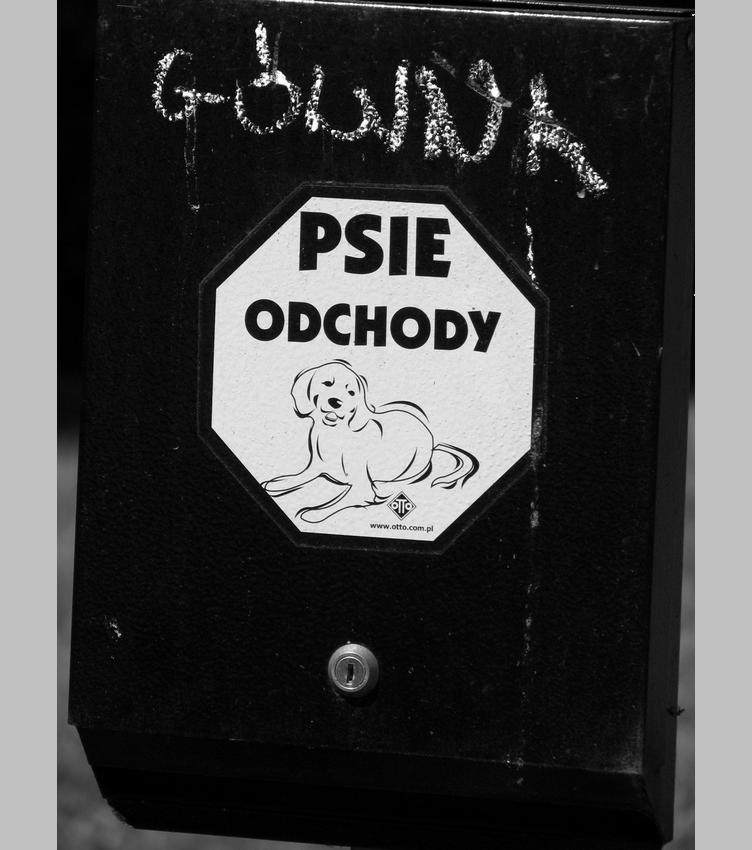 Psie odchody.