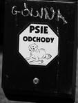 Psie odchody.