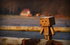 Danbo nad zalewem