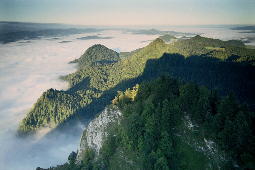 Pieniny