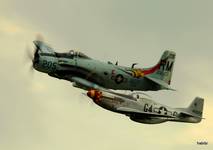 Skyraider i Mustang