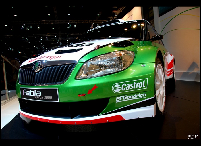 Skoda Fabia S2000