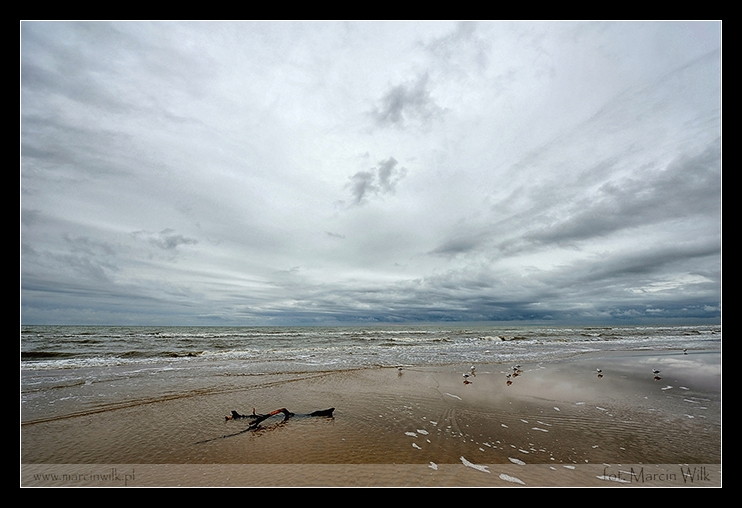 ~ Baltic sea ~