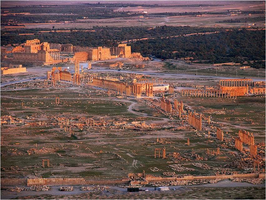 Palmyra