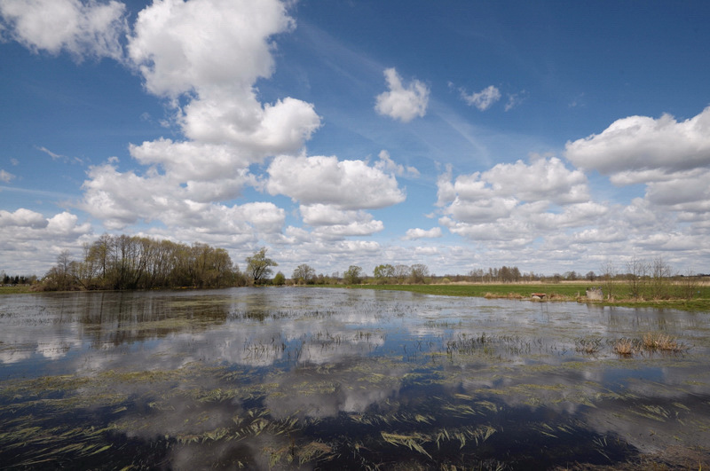 wiosenne podlasie