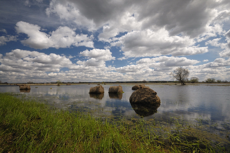 podlasie