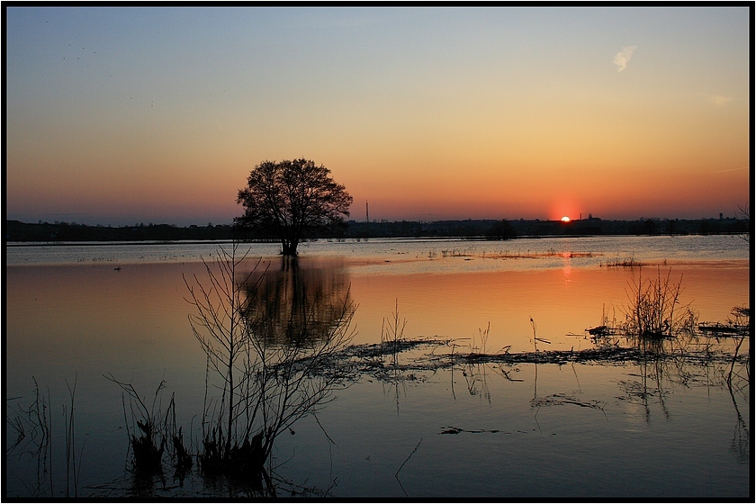 Narew wylała...