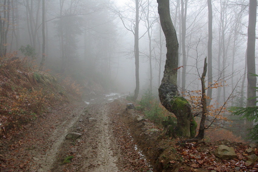 Beskid Żywiecki cz. 3