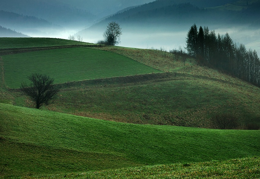 przedwiośnie II