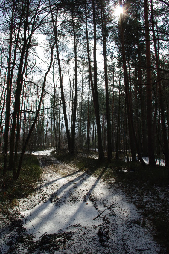 śniegowe ostatki