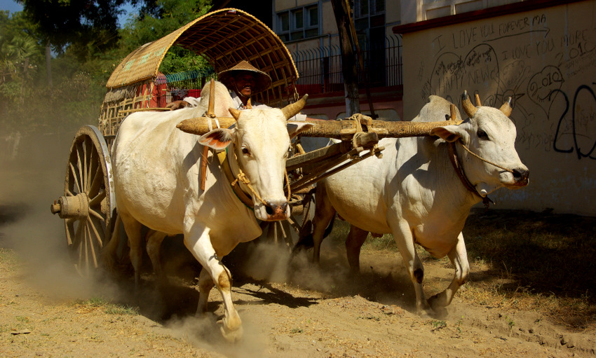 BIRMA - TAXI