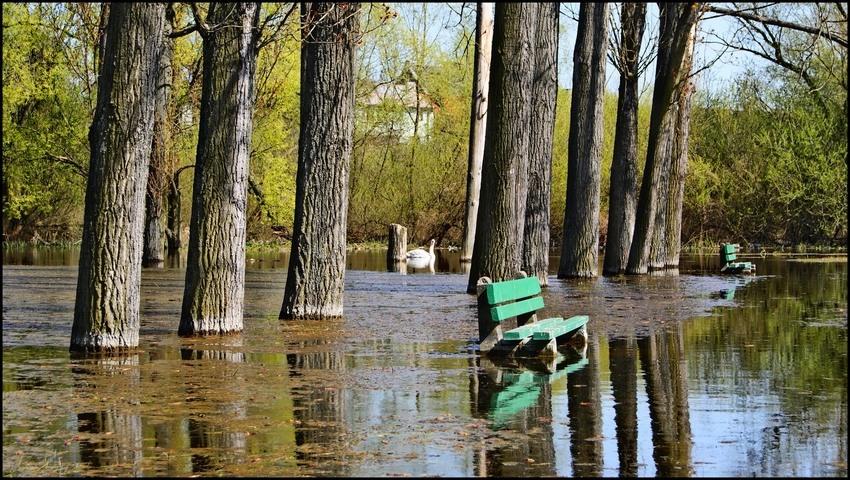 rozlewisko nad rzeką