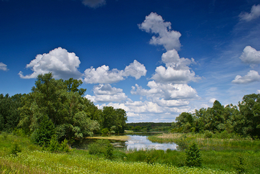 Wiosenny zakątek