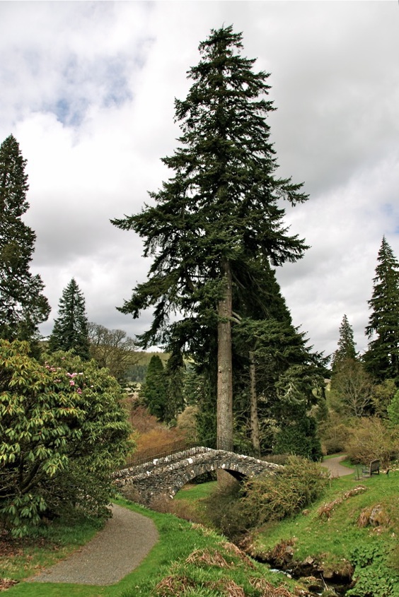 Dawyck Botanic Garden, Stobo, Scottish Borders