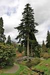 Dawyck Botanic Garden, Stobo, Scottish Borders