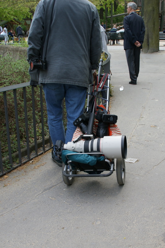 sobotni spacer z ukochaną...... lunetką