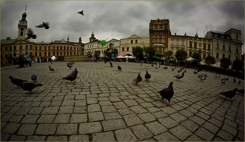 Rynek.