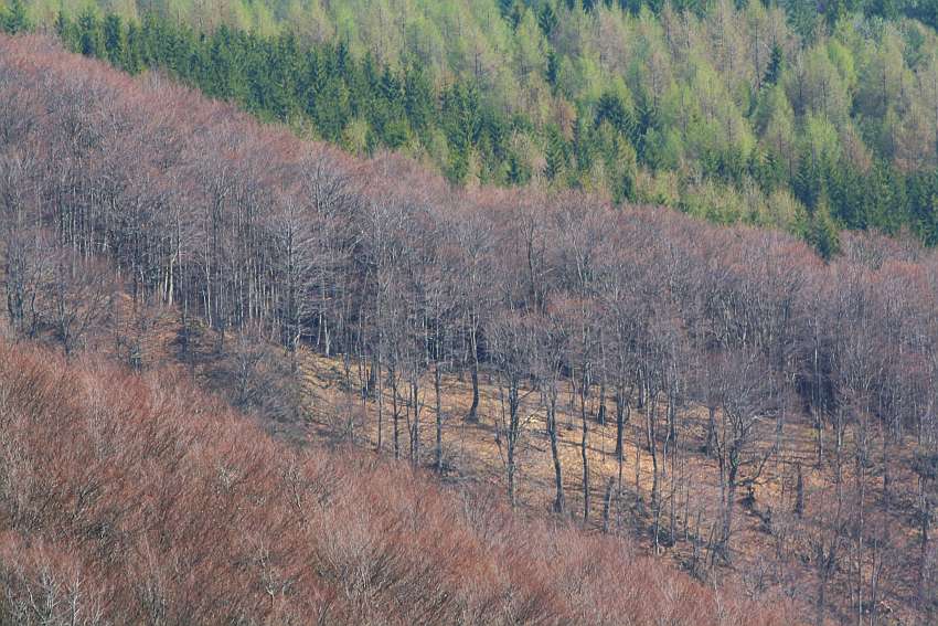 Bieszczady