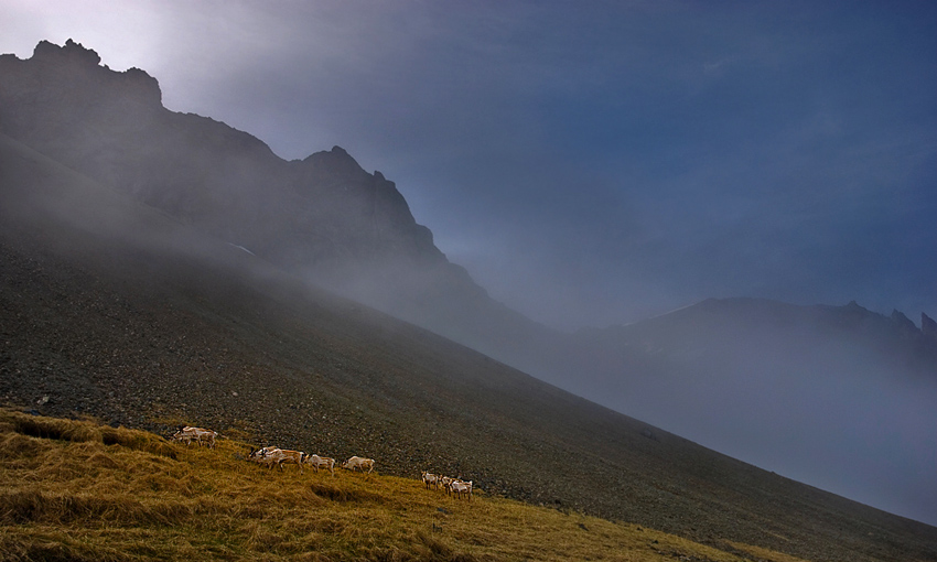 Iceland - in the Shadow