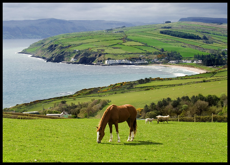 Irlandzkie wybrzeże