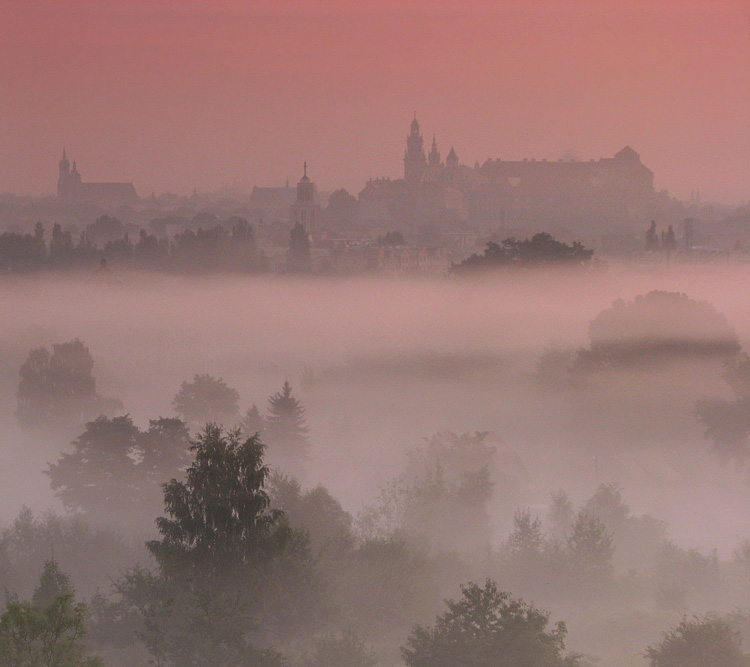 Kraków ponad mgłą