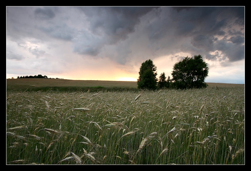 Cisza przed burzą