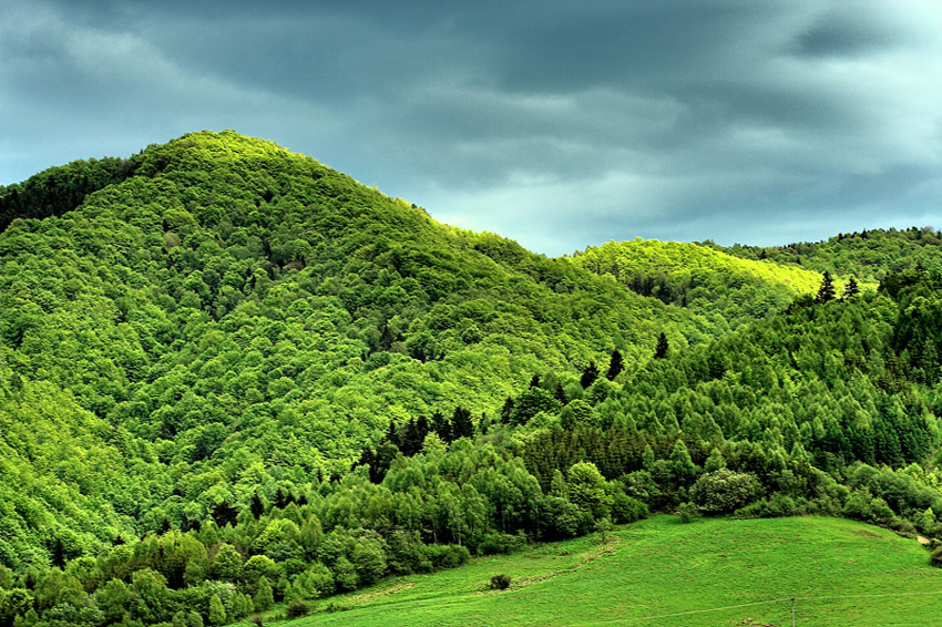 Beskidzka wiosna