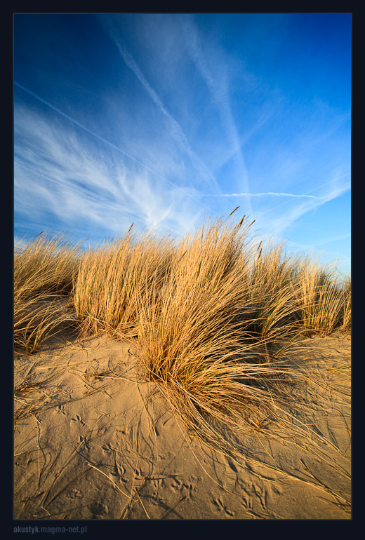 duinen 1