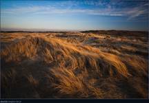 duinen 2