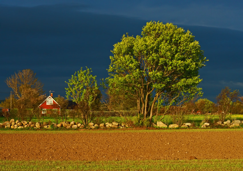 Przed burzą