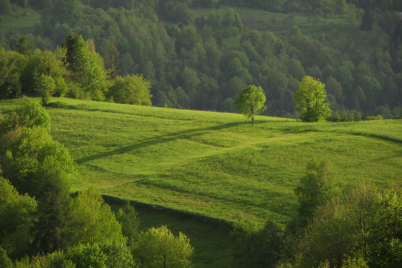 Bereśnikowe okolice