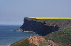 Saltburn