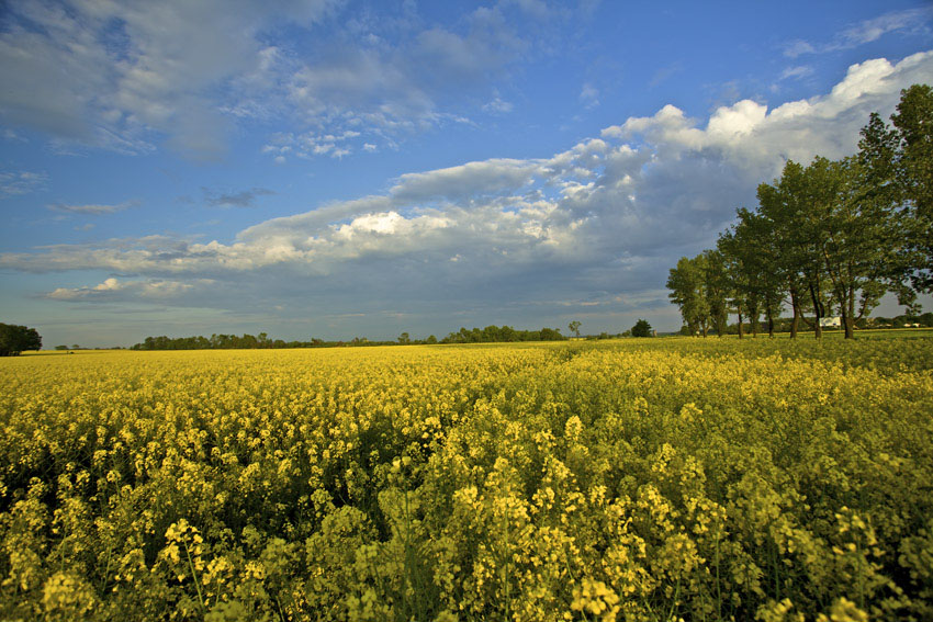 Poland...