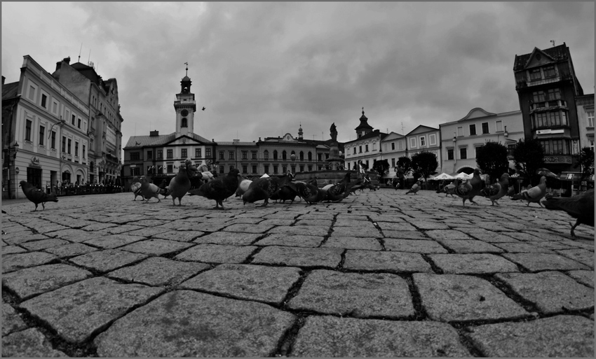 Rynek w Cieszynie.