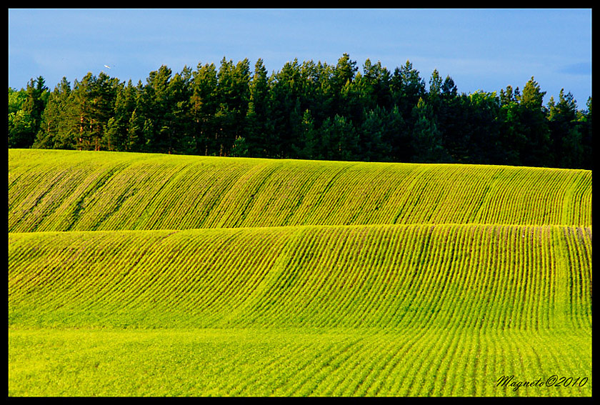 Litewski krajobraz