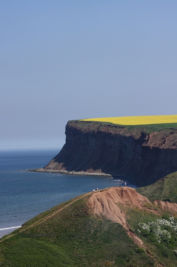 Saltburn