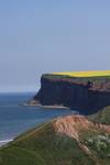 Saltburn