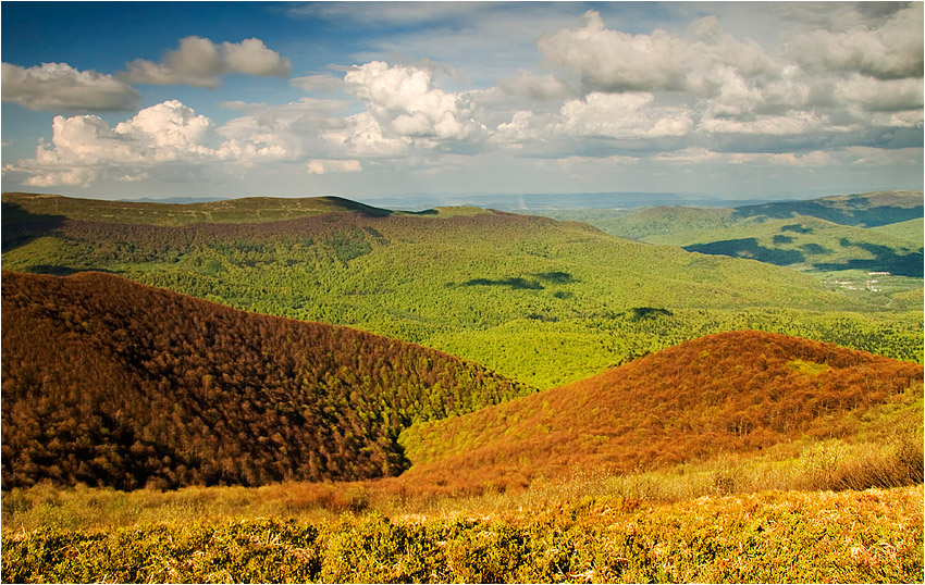 Bieszczady wiosną  #1