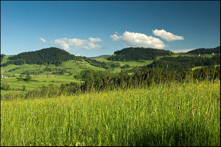 Wytęskniona chwila maja w maju :)